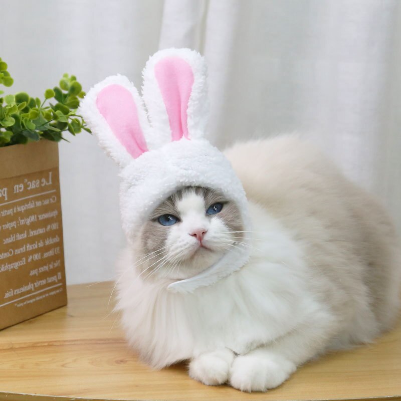 Bunny Ears for Cat Cute Pet Headwear