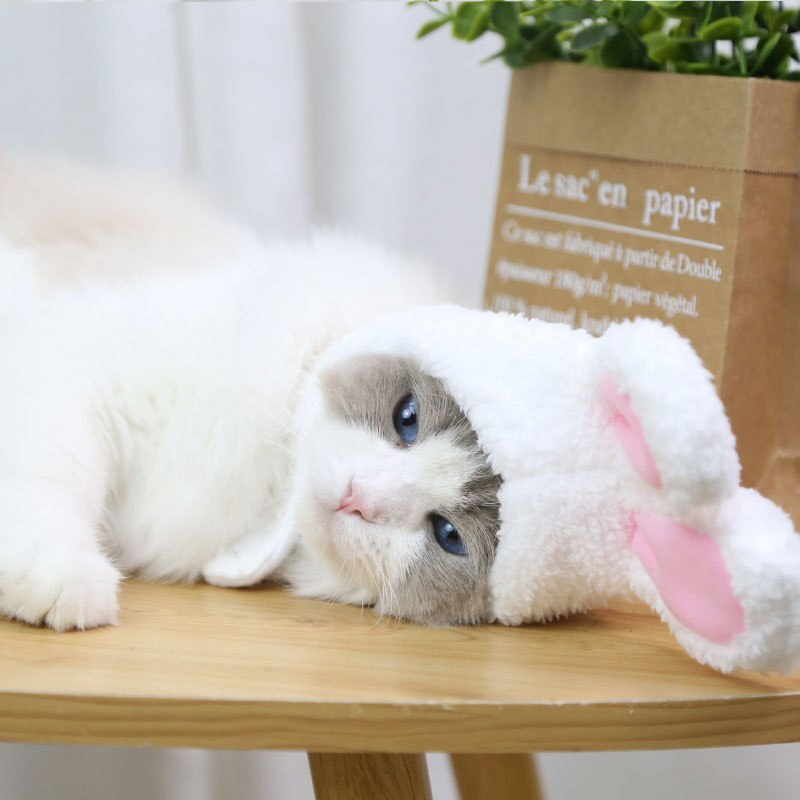Bunny Ears for Cat Cute Pet Headwear Bunny Ears for Cat Cute Pet Headwear