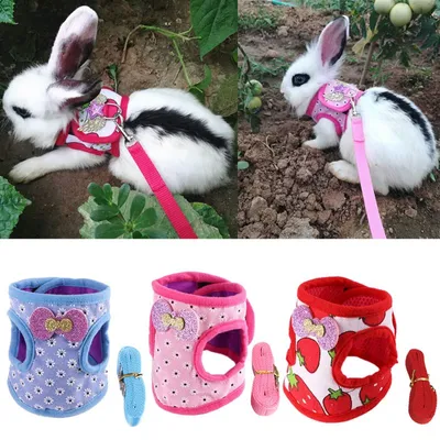 Bunny Harness and Leash Set Bunny Harness and Leash Set