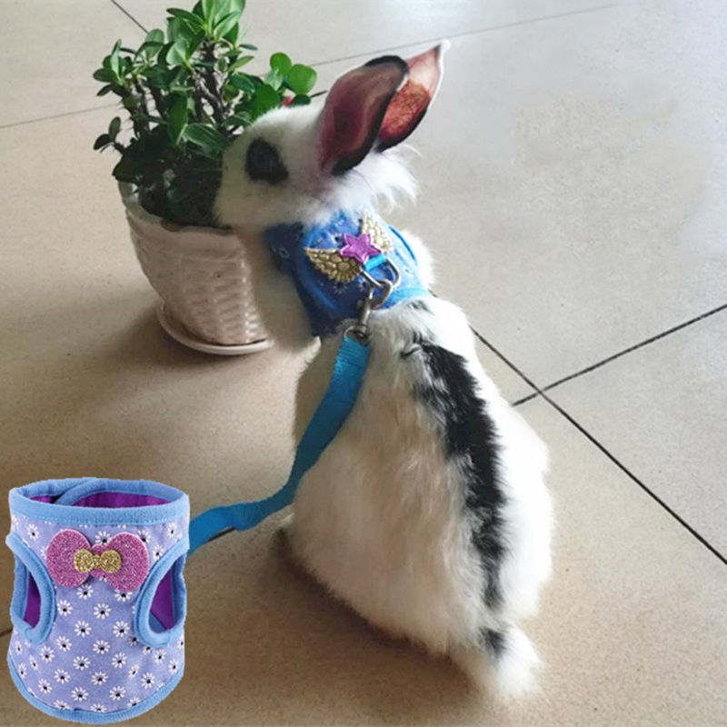 Bunny Harness and Leash Set Bunny Harness and Leash Set