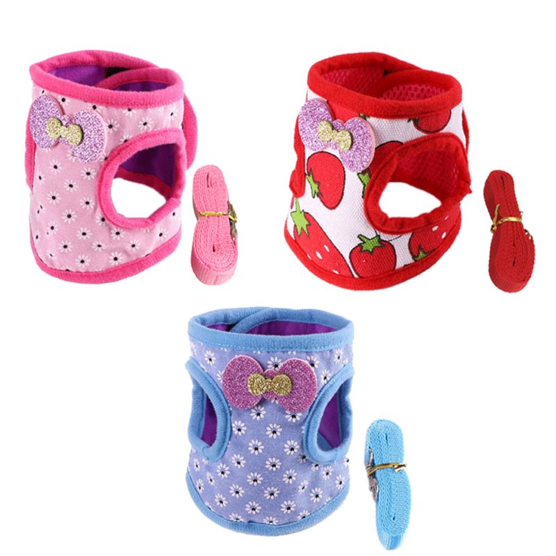 Bunny Harness and Leash Set Bunny Harness and Leash Set