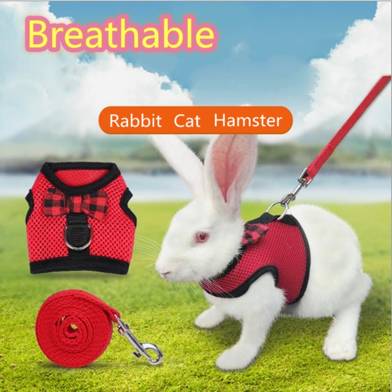 Bunny Harness Breathable Vest Bunny Harness Breathable Vest