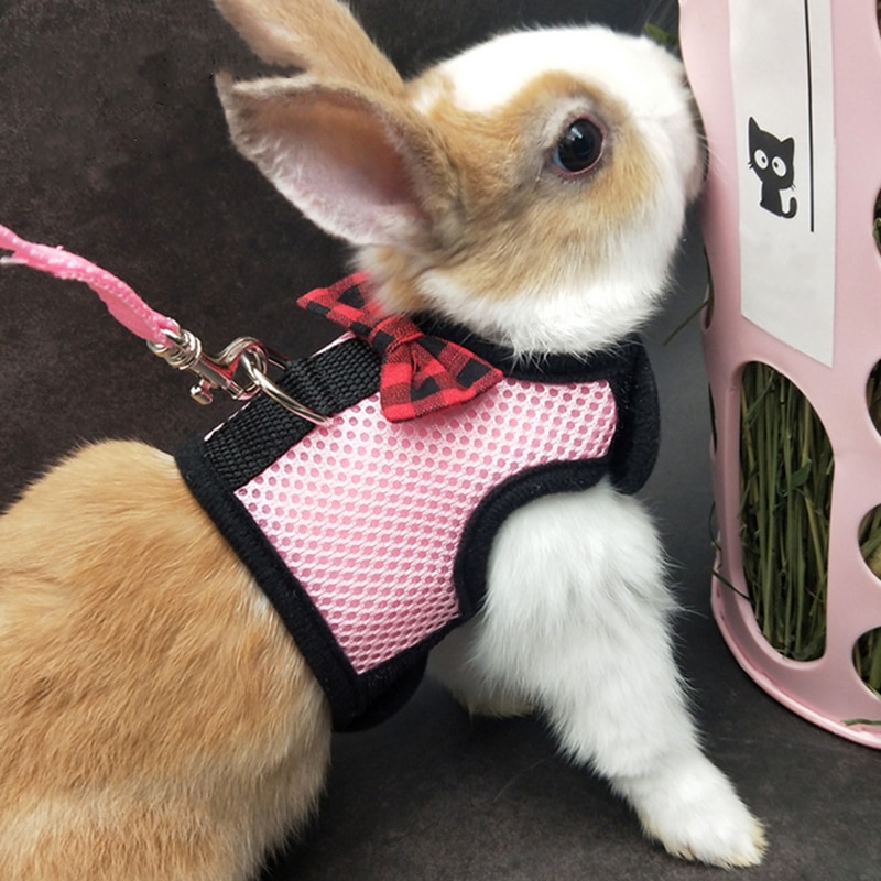 Bunny Harness Breathable Vest Bunny Harness Breathable Vest