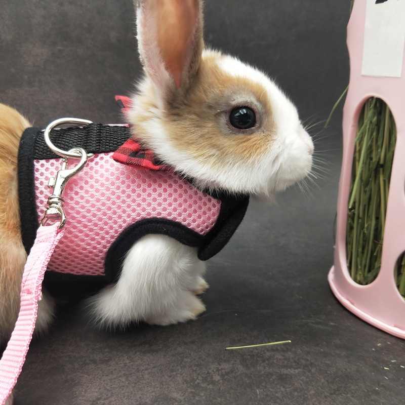 Bunny Harness Breathable Vest Bunny Harness Breathable Vest