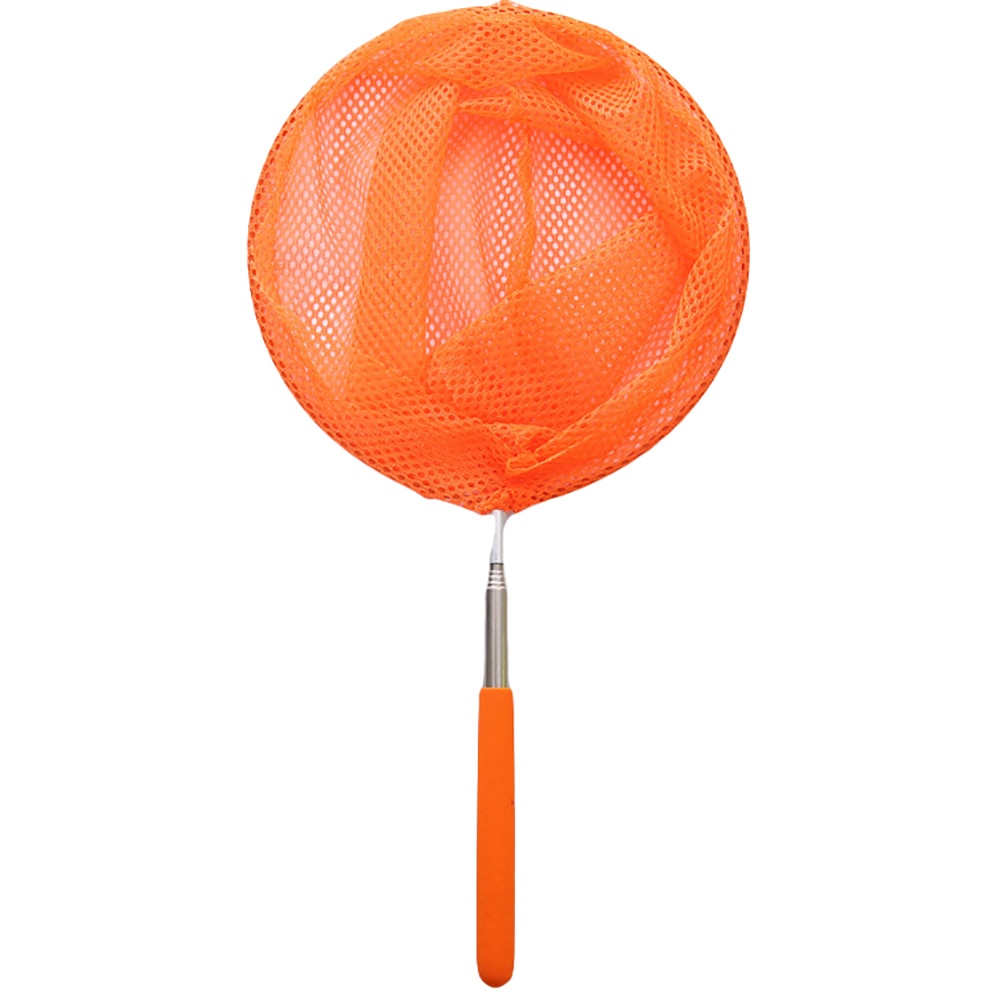 Butterfly Catcher Extendable Net Butterfly Catcher Extendable Net
