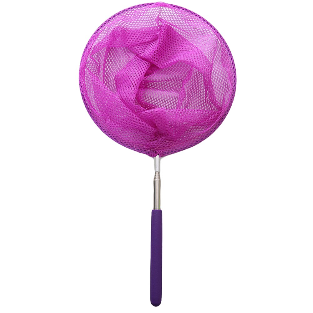 Butterfly Catcher Extendable Net Butterfly Catcher Extendable Net