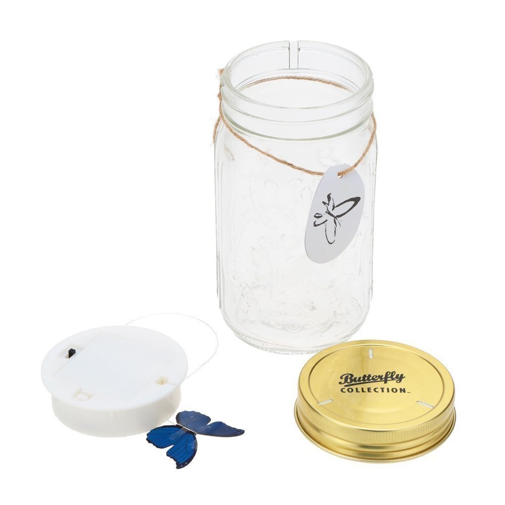 Butterfly Jar LED Novelty Decor Butterfly Jar LED Novelty Decor