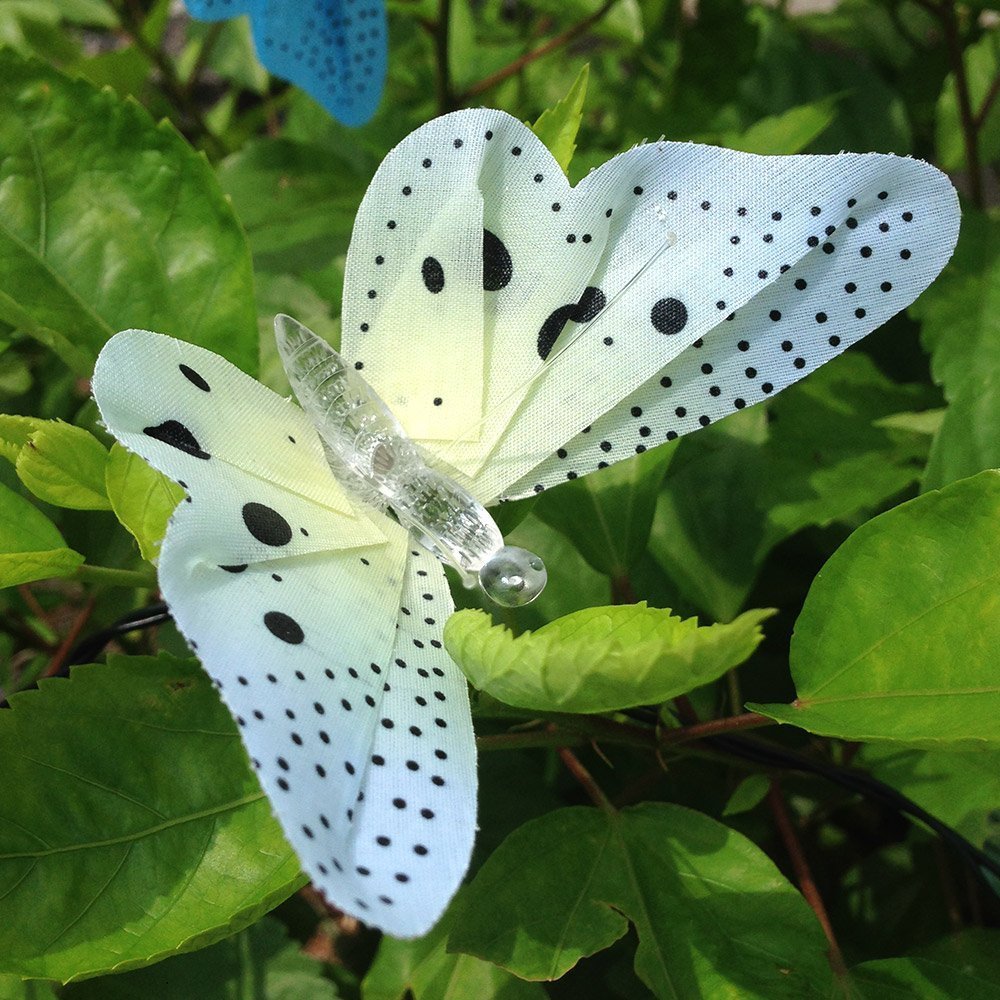 Butterfly Solar Lights 12 LED Bulbs Butterfly Solar Lights 12 LED Bulbs