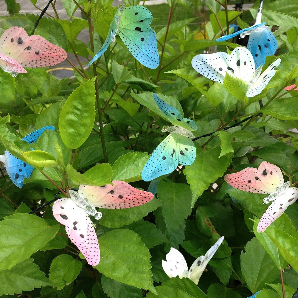 Butterfly Solar Lights 12 LED Bulbs Butterfly Solar Lights 12 LED Bulbs