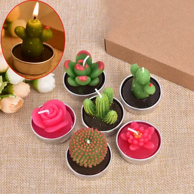 Cactus Candle Mini Home Décor Cactus Candle Mini Home Décor