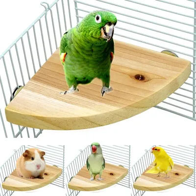 Cage Wooden Flat Perch for Birds Cage Wooden Flat Perch for Birds