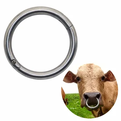 Carbon Steel Cow Nose Rings (2pcs) Carbon Steel Cow Nose Rings (2pcs)