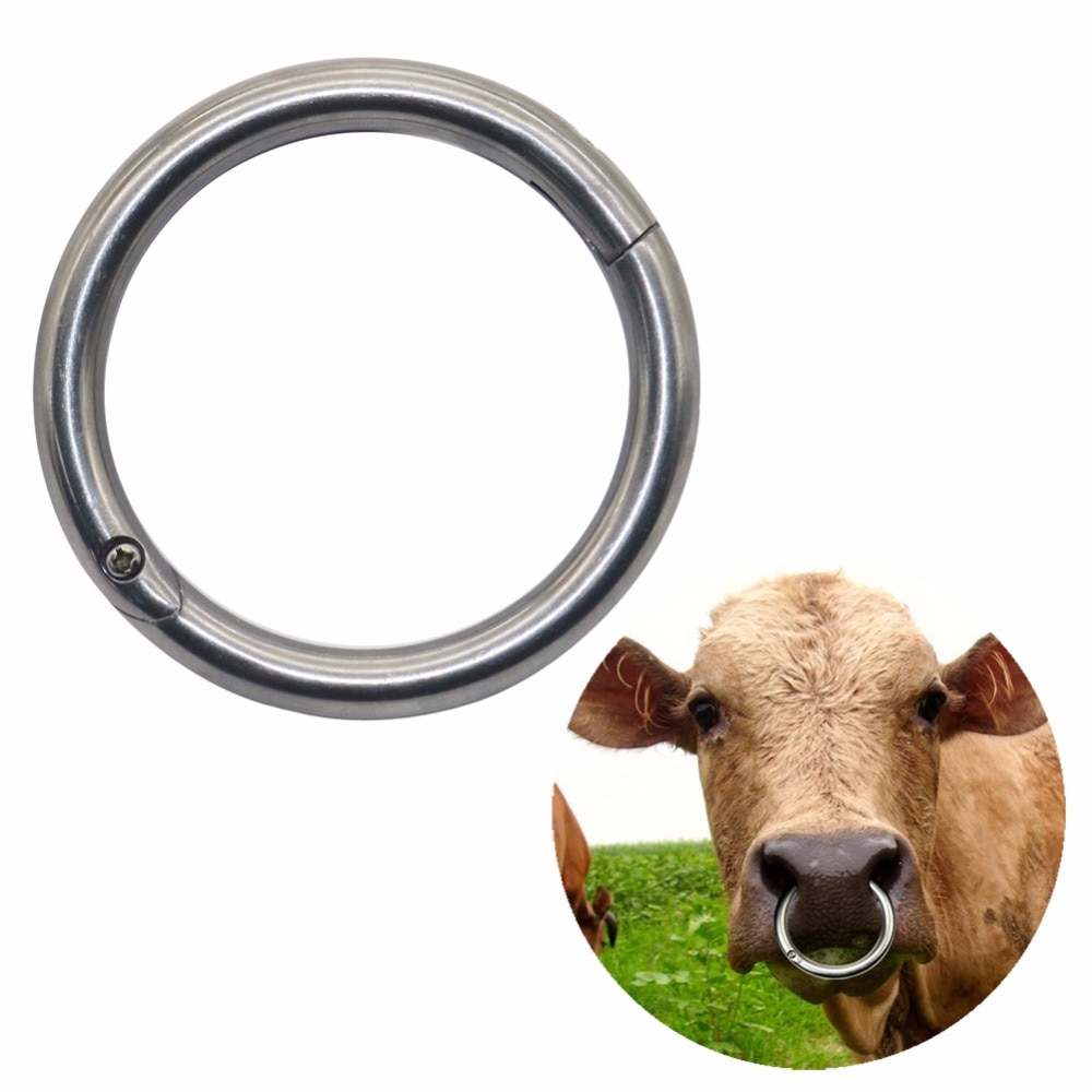 Carbon Steel Cow Nose Rings (2pcs)