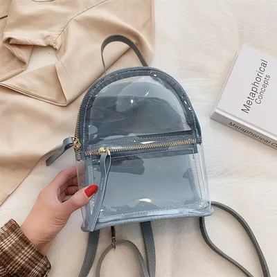 Casual Small Clear Backpack