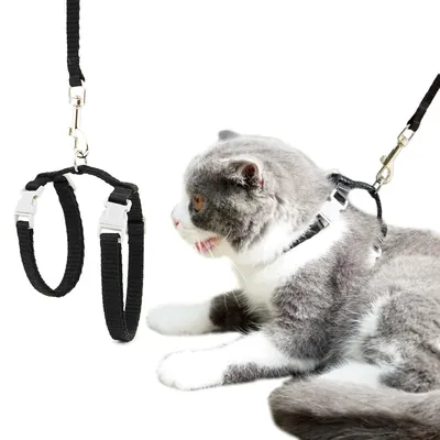 Cat and Dog Harness and Leash Set
