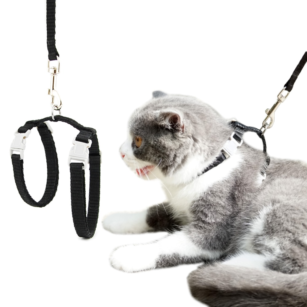 Cat and Dog Harness and Leash Set
