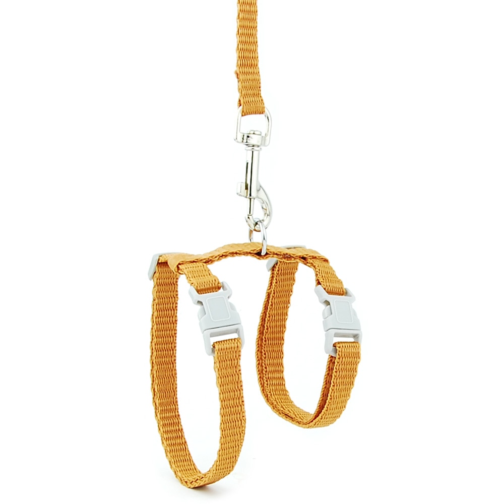 Cat and Dog Harness and Leash Set