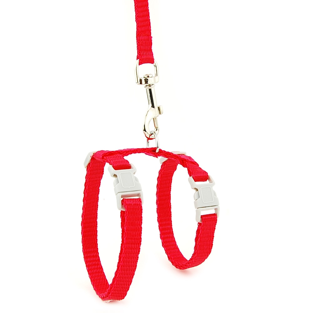 Cat and Dog Harness and Leash Set
