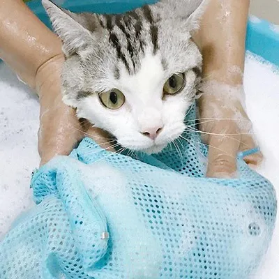 Cat Bag For Bathing Pet Shower Bag Cat Bag For Bathing Pet Shower Bag