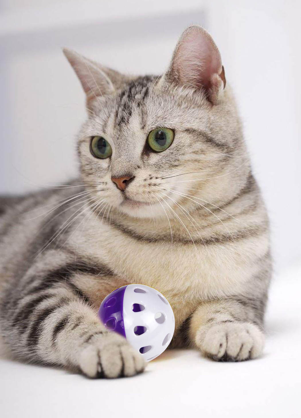 Cat Balls with Bell Interactive Toy (6Pcs) Cat Balls with Bell Interactive Toy (6Pcs)