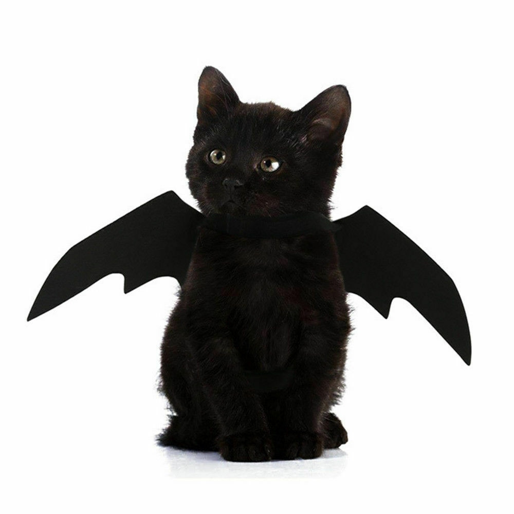 Cat Bat Costume Pet Halloween Wings Cat Bat Costume Pet Halloween Wings