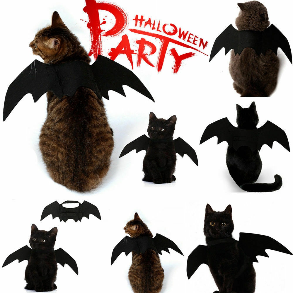 Cat Bat Costume Pet Halloween Wings Cat Bat Costume Pet Halloween Wings