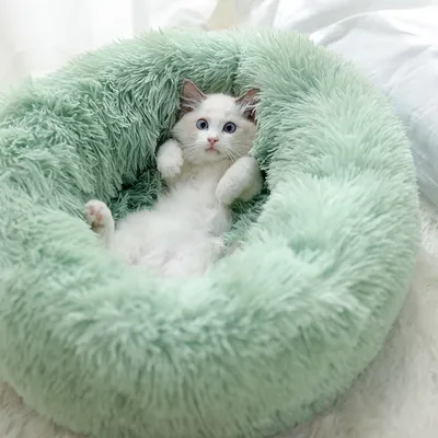 Cat Bean Bag Soft Sleeping Cushion Cat Bean Bag Soft Sleeping Cushion