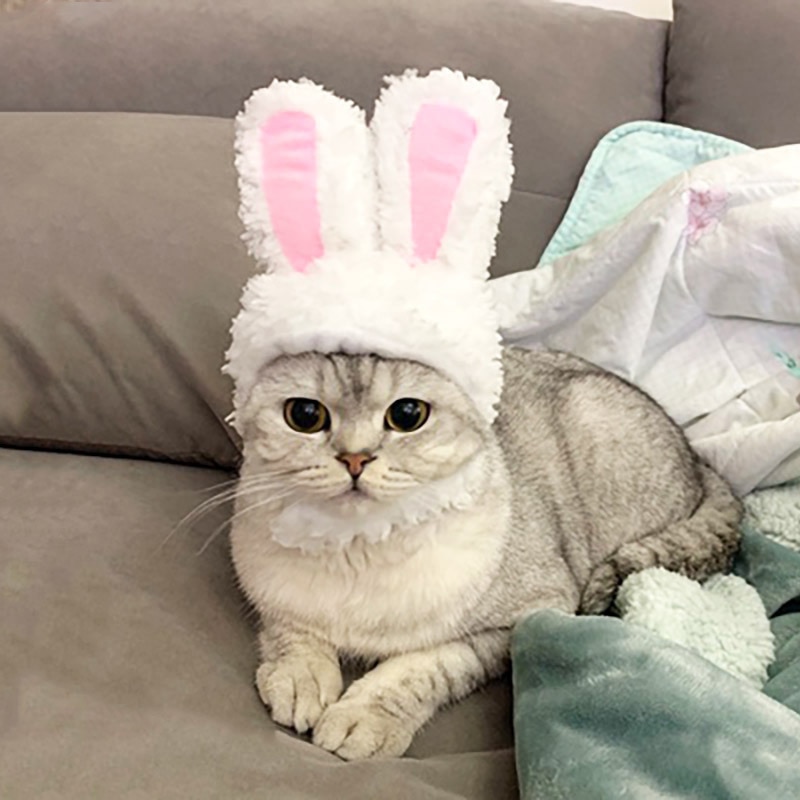 Cat Bunny Ears Pet Headwear Cat Bunny Ears Pet Headwear