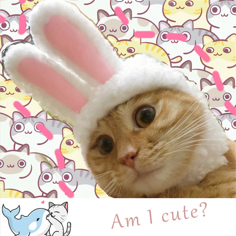 Cat Bunny Hat Easter Rabbit Ears Costume Cat Bunny Hat Easter Rabbit Ears Costume