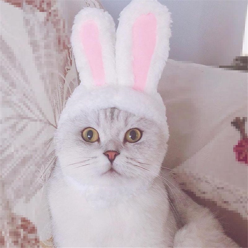 Cat Bunny Hat Easter Rabbit Ears Costume Cat Bunny Hat Easter Rabbit Ears Costume