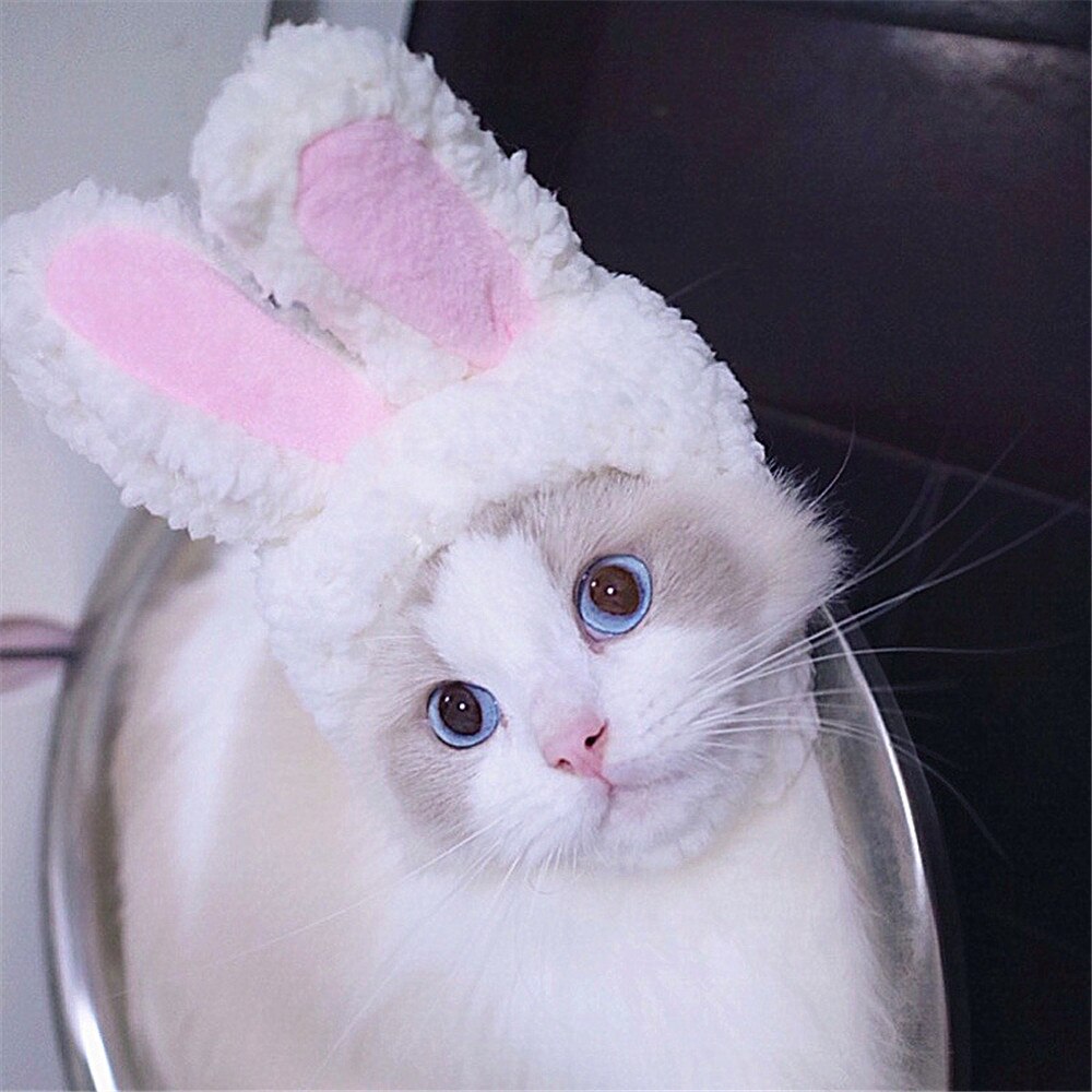 Cat Bunny Hat Easter Rabbit Ears Costume Cat Bunny Hat Easter Rabbit Ears Costume