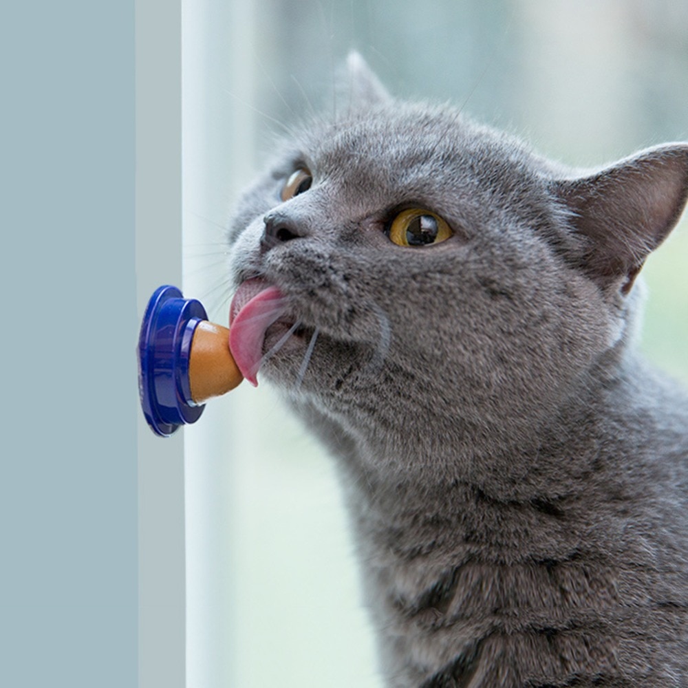Cat Candy Cat Vitamins Sugar Ball Cat Candy Cat Vitamins Sugar Ball