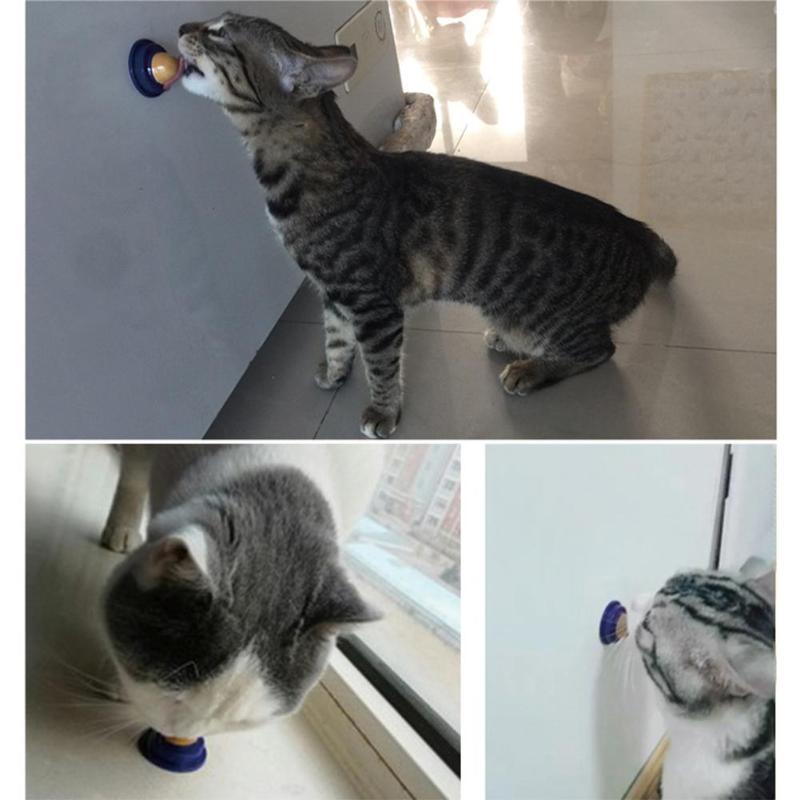 Cat Candy Cat Vitamins Sugar Ball Cat Candy Cat Vitamins Sugar Ball