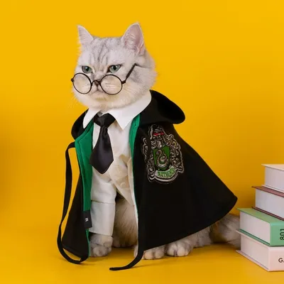 Cat Cape Magic Cloak Costume Cat Cape Magic Cloak Costume