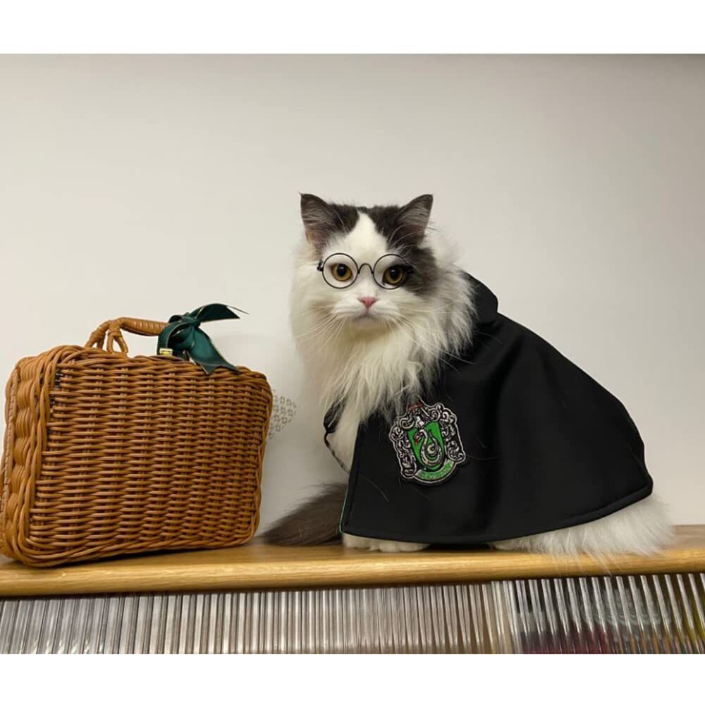Cat Cape Magic Cloak Costume Cat Cape Magic Cloak Costume