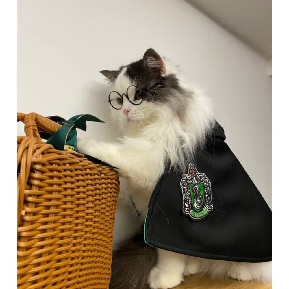 Cat Cape Magic Cloak Costume Cat Cape Magic Cloak Costume