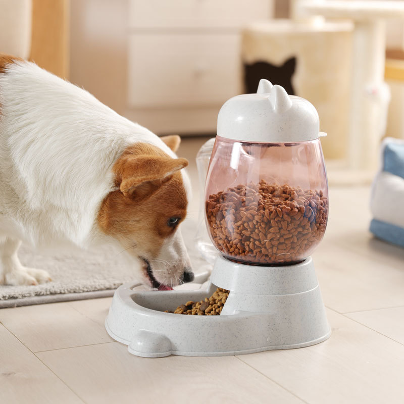 Cat Food Feeder and Water Dispenser Cat Food Feeder and Water Dispenser