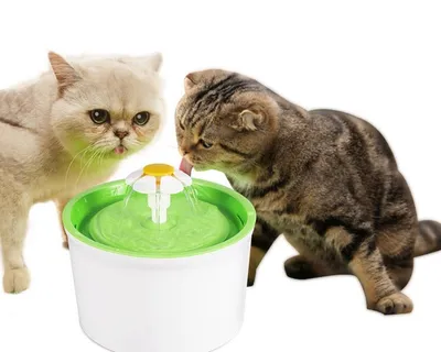 Cat Fountain Drinking Automatic
