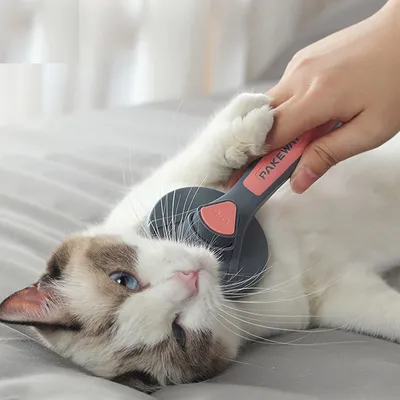 Cat Hair Brush Needle Comb Cat Hair Brush Needle Comb