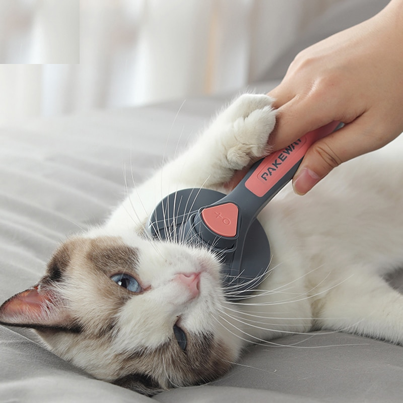 Cat Hair Brush Needle Comb Cat Hair Brush Needle Comb
