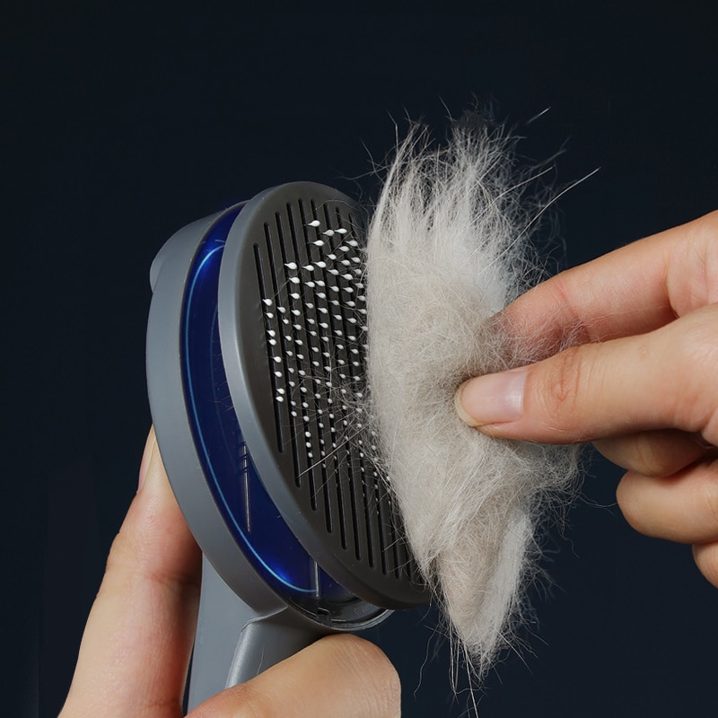 Cat Hair Brush Needle Comb Cat Hair Brush Needle Comb