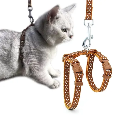 Cat Harness And Leash Set Cat Harness And Leash Set