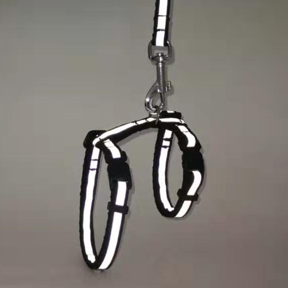 Cat Harness And Leash Set Cat Harness And Leash Set