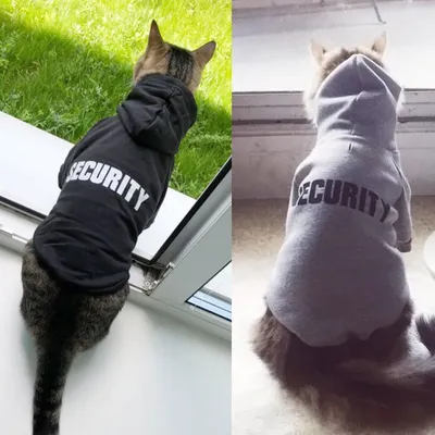 Cat Jacket Stylish Hoodie