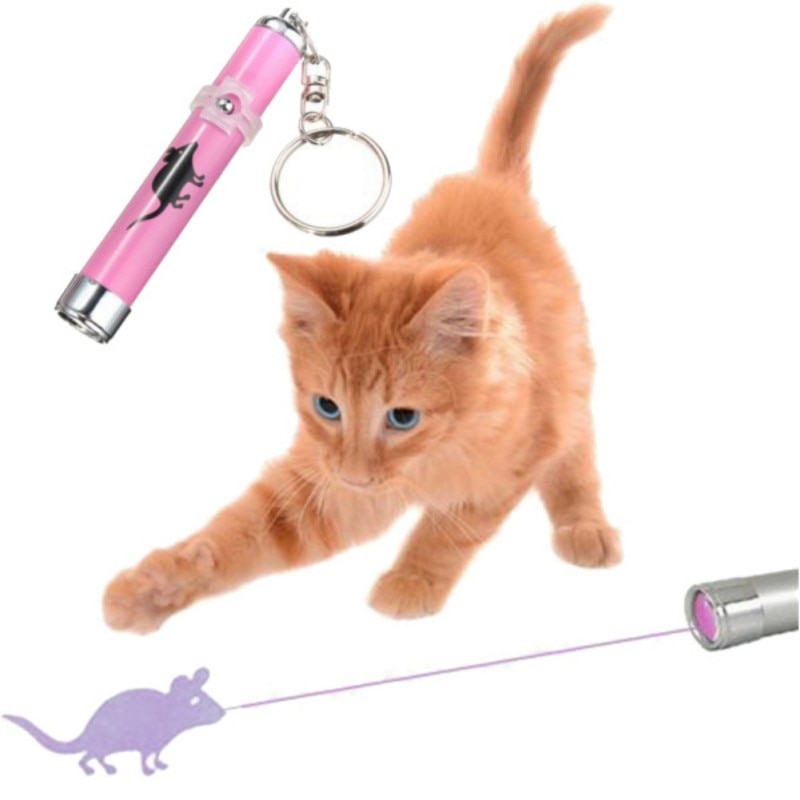 Cat Laser Pointer Pet Accessory Cat Laser Pointer Pet Accessory
