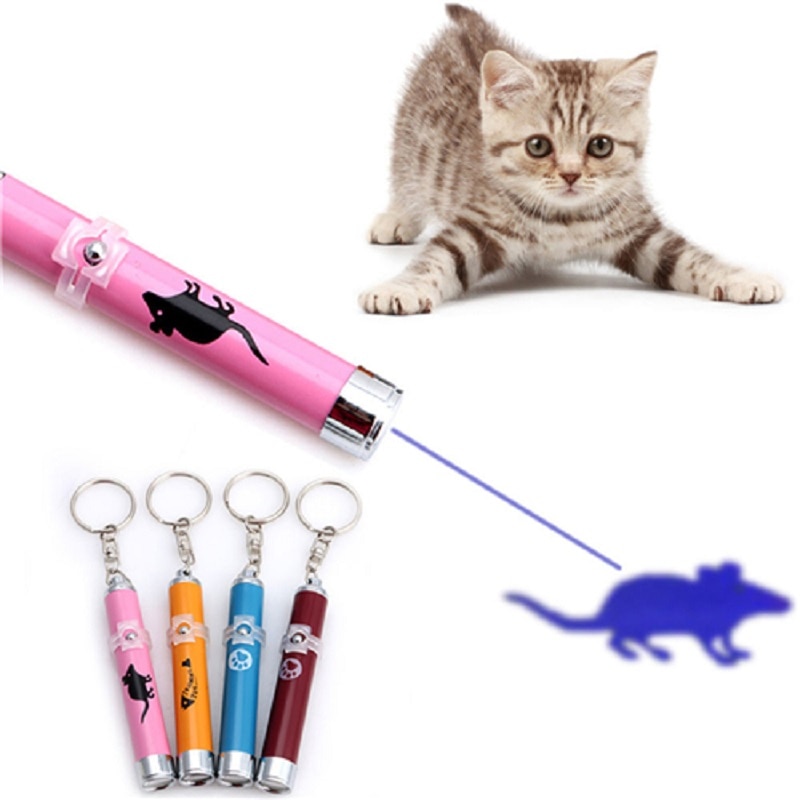 Cat Laser Pointer Pet Accessory Cat Laser Pointer Pet Accessory