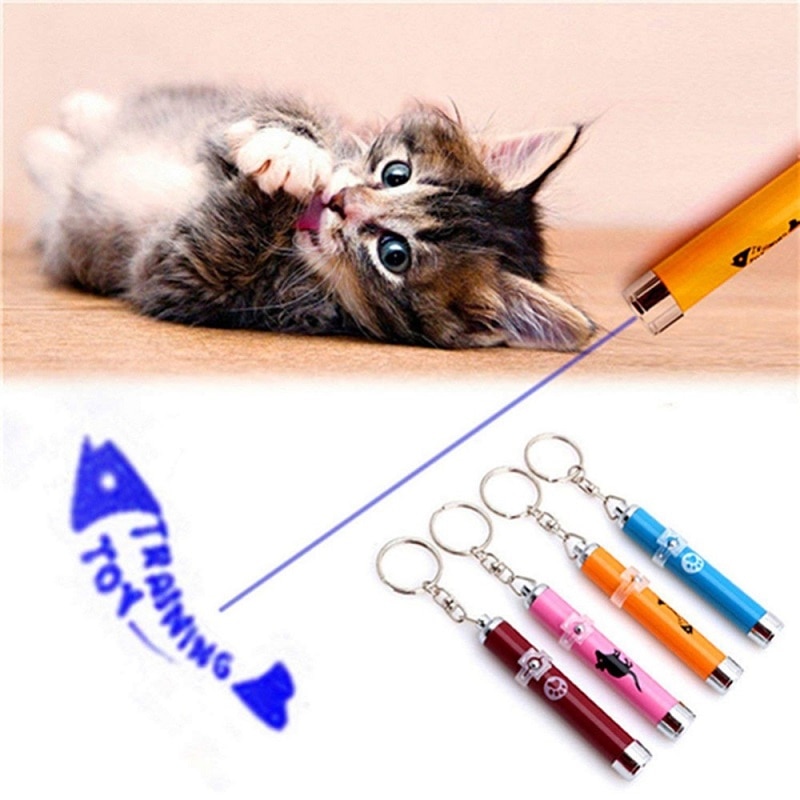 Cat Laser Pointer Pet Accessory Cat Laser Pointer Pet Accessory