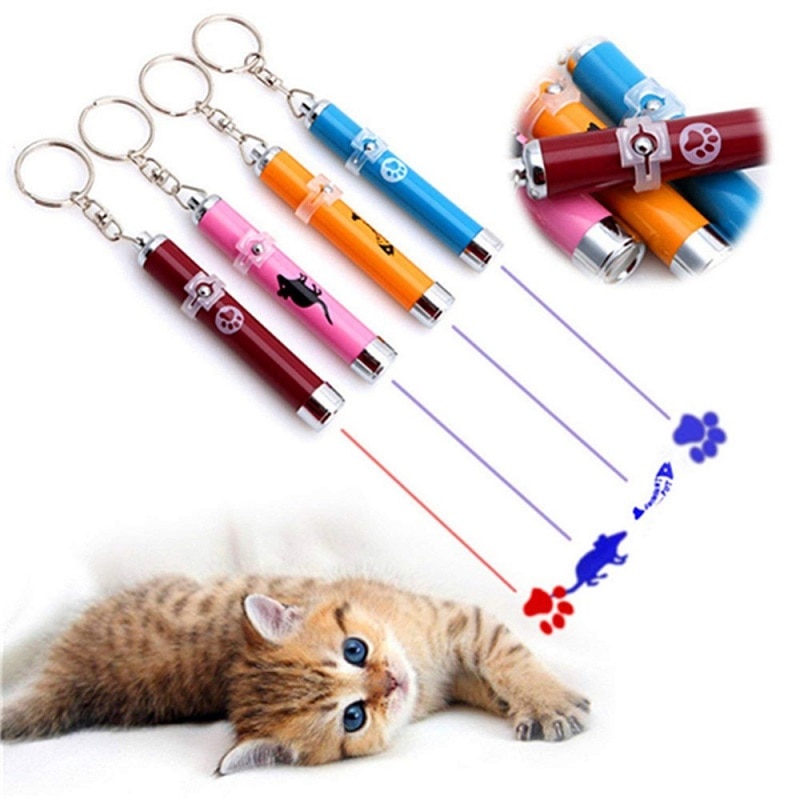 Cat Laser Pointer Pet Accessory Cat Laser Pointer Pet Accessory