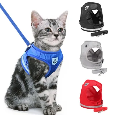 Cat Leash Reflective Pet Accessory Cat Leash Reflective Pet Accessory