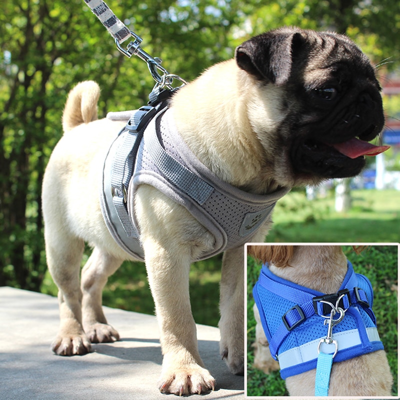 Cat Leash Reflective Pet Accessory Cat Leash Reflective Pet Accessory
